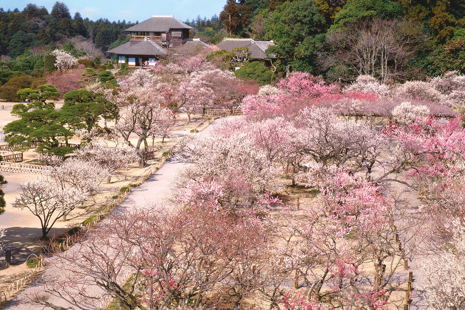 偕楽園